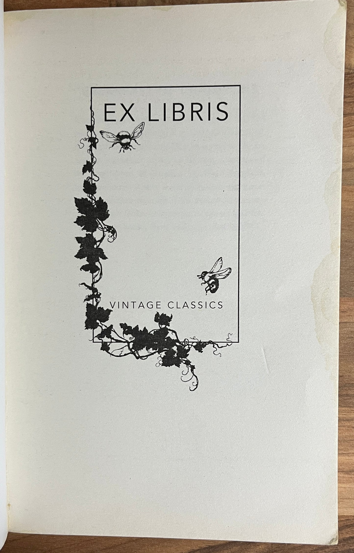 Breakfast of Champions by Kurt Vonnegut  (Vintage)