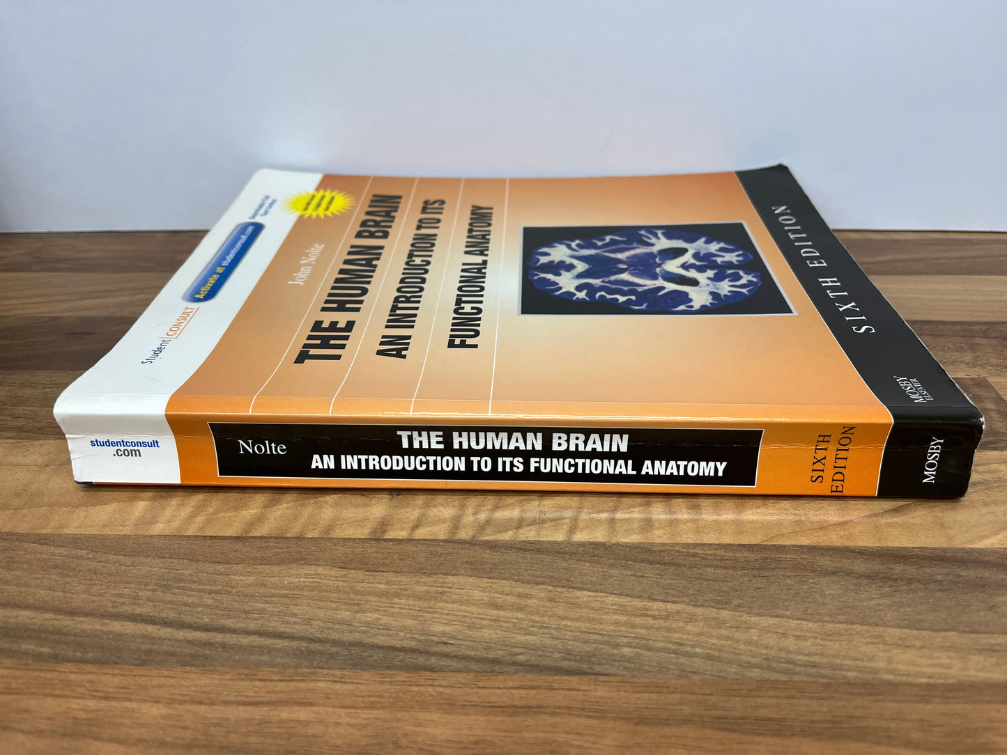 The Human Brain: An Introduction to its Functional Anatomy, 6th Ed. by John Nolte