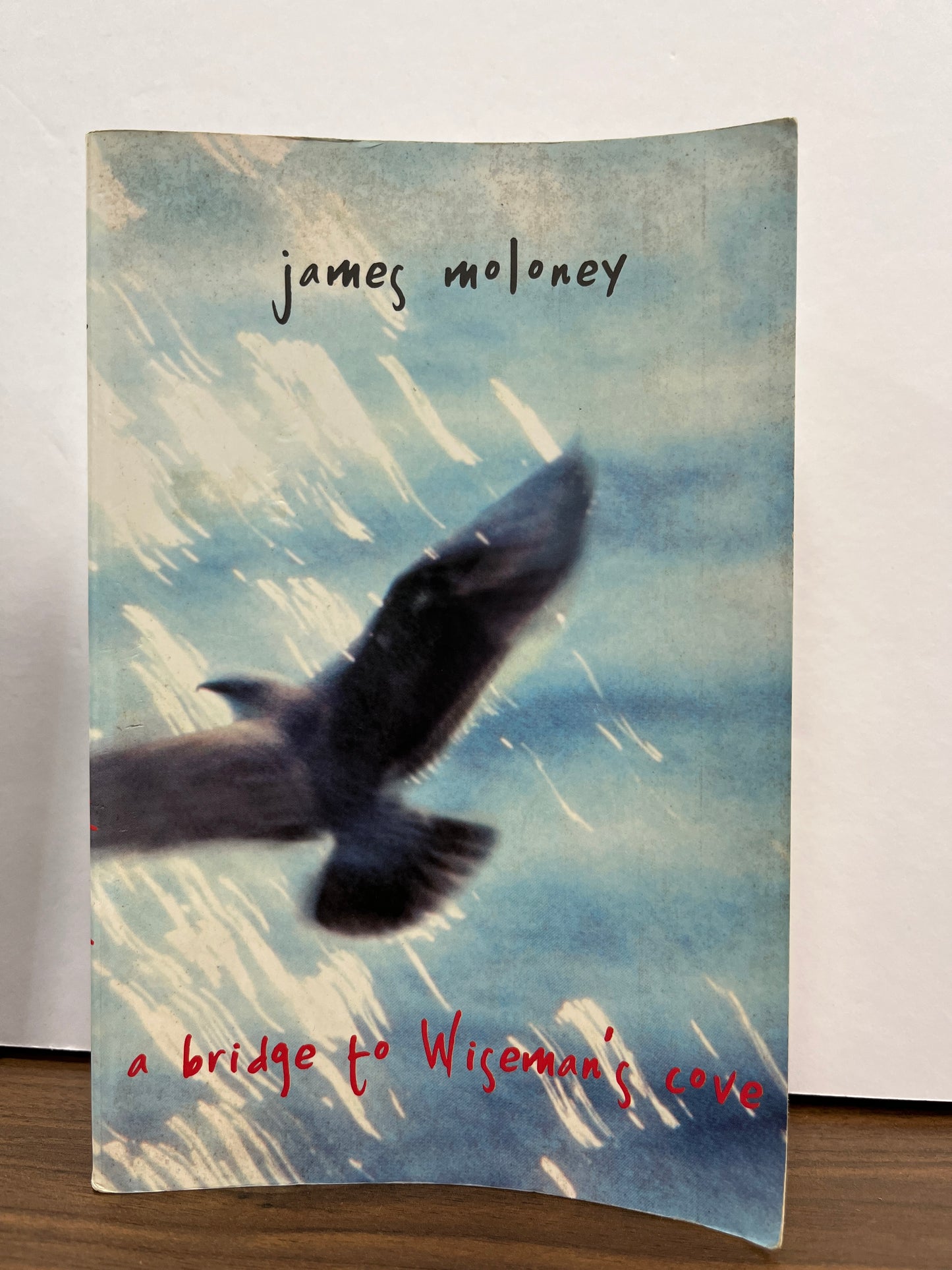 A Bridge to Wiseman's Cove by James Moloney