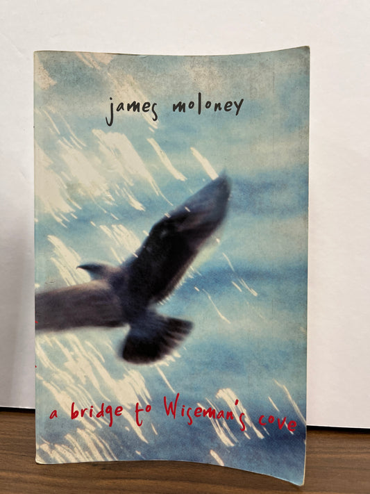 A Bridge to Wiseman's Cove by James Moloney