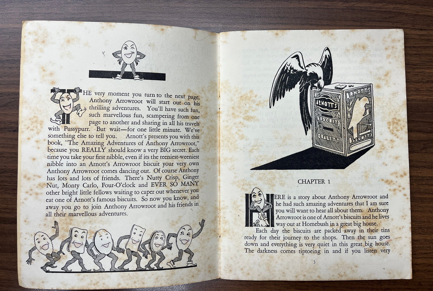 Arnott’s ‘the amazing adventures of Anthony Arrowroot’, Children's Book *Rare*