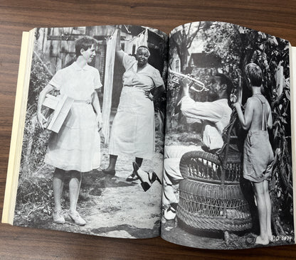 Black Hollywood: The Black Performer in Motion Pictures by Gary Null