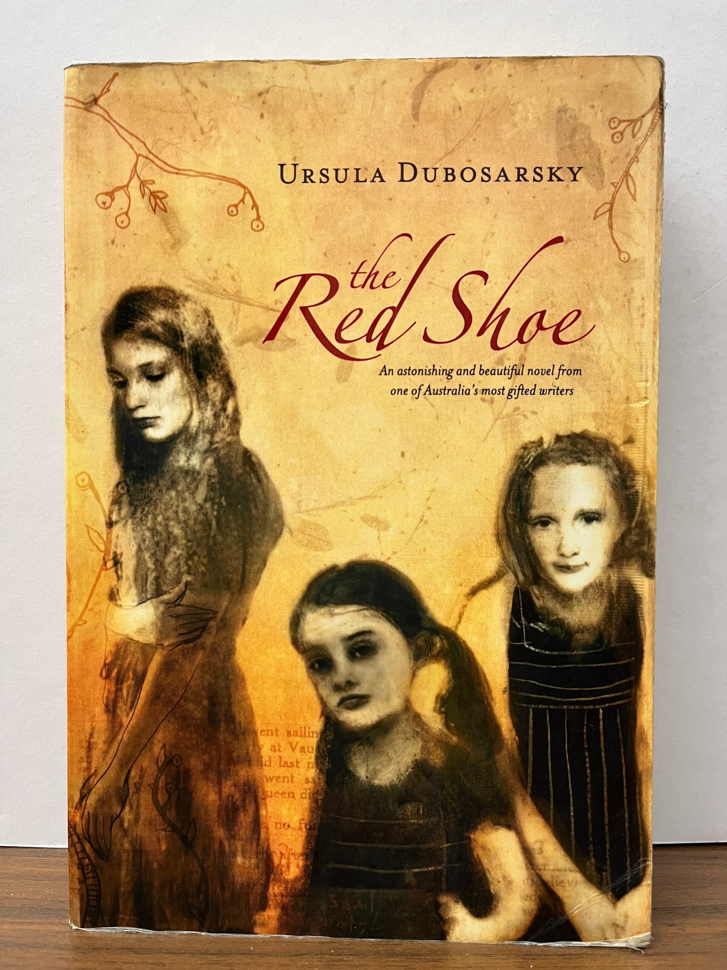 The Red Shoe by Ursula Dubosarsky