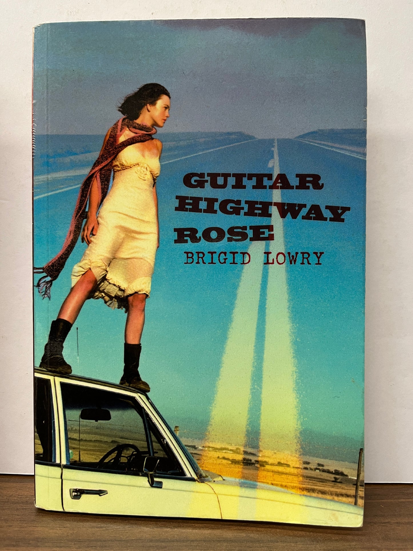 Guitar Highway Rose by Brigid Lowry