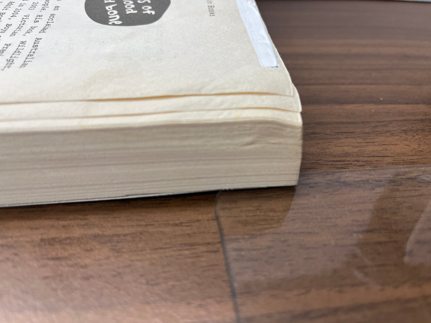 Boys of Blood and Bone by David Metzenthen