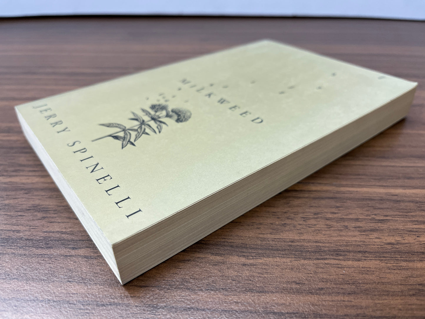 Milkweed by Jerry Spinelli