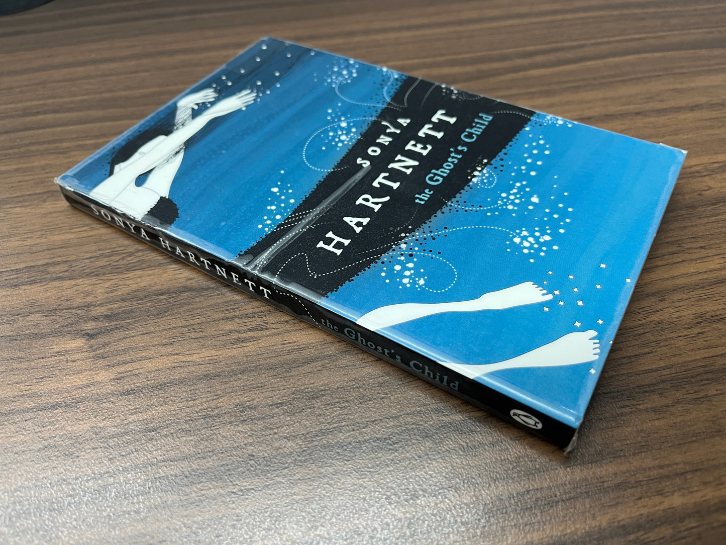 The Ghost's Child by Sonya Hartnett