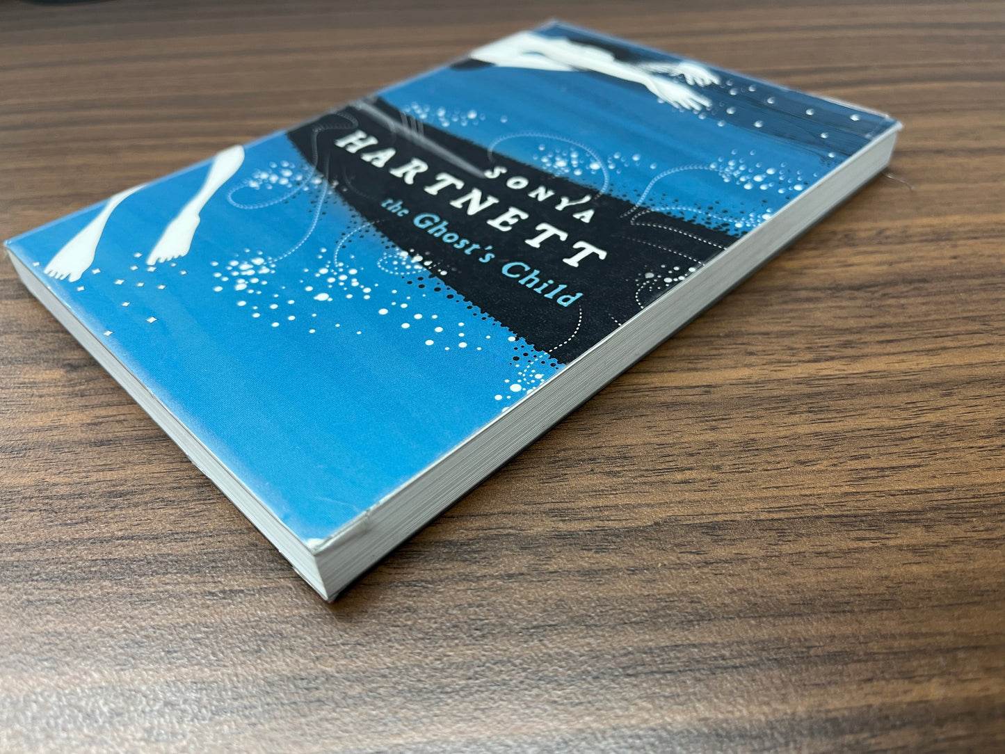 The Ghost's Child by Sonya Hartnett