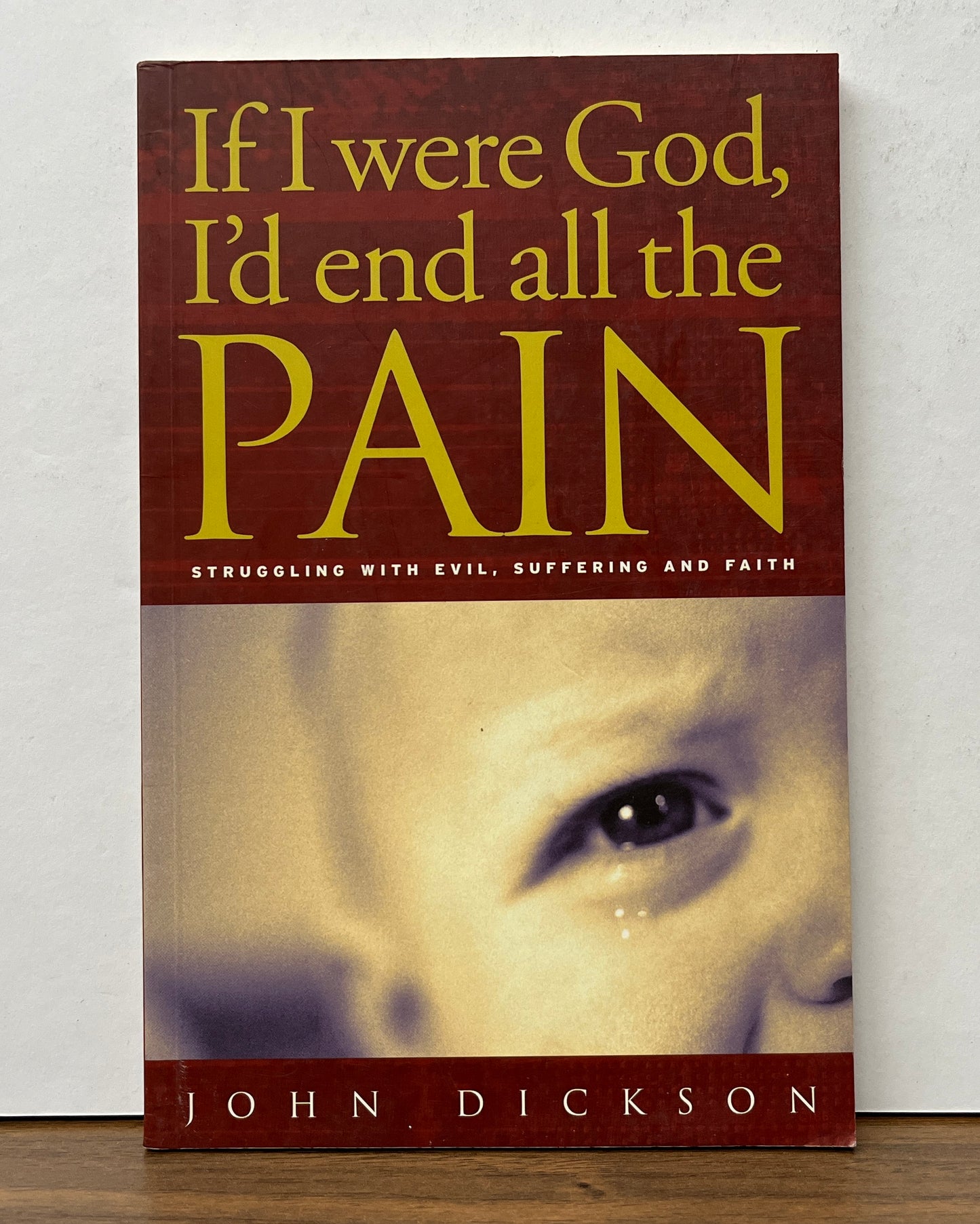 If I Were God, I'd End All the Pain by John Dickson