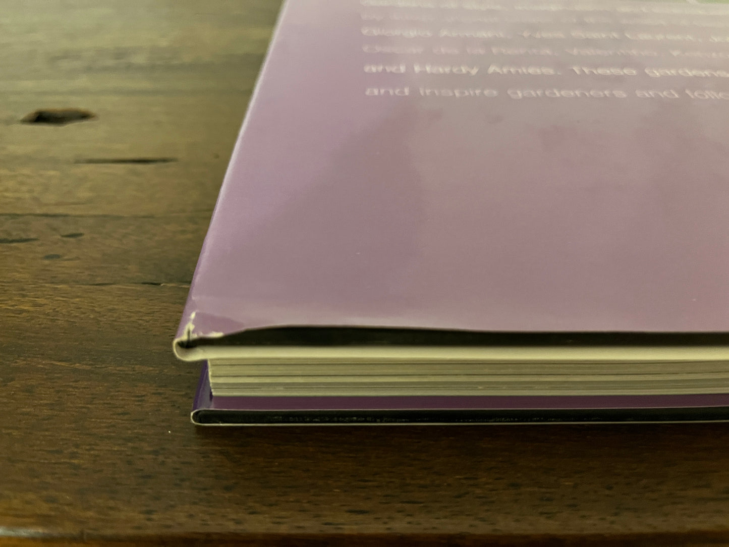 Fashion Designer's Garden by Francis Dorleans (Hardcover/Dust Jacket)