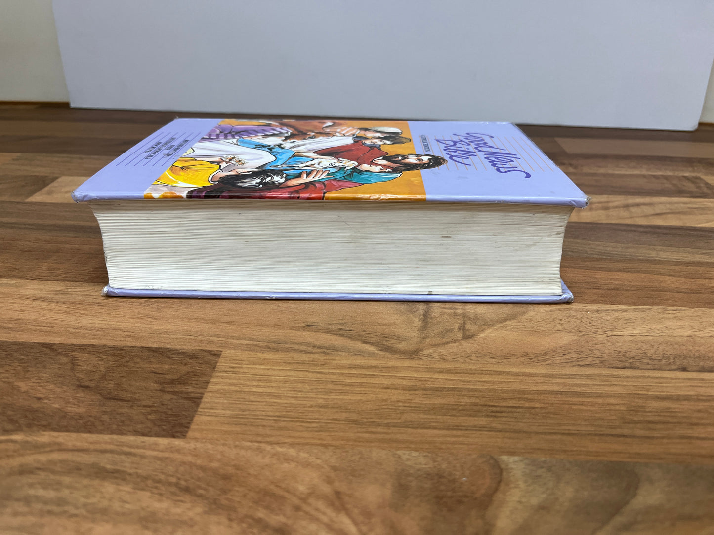 Good News Bible Childrens Catholic Edition Revised GB053PCA (Hardcover)