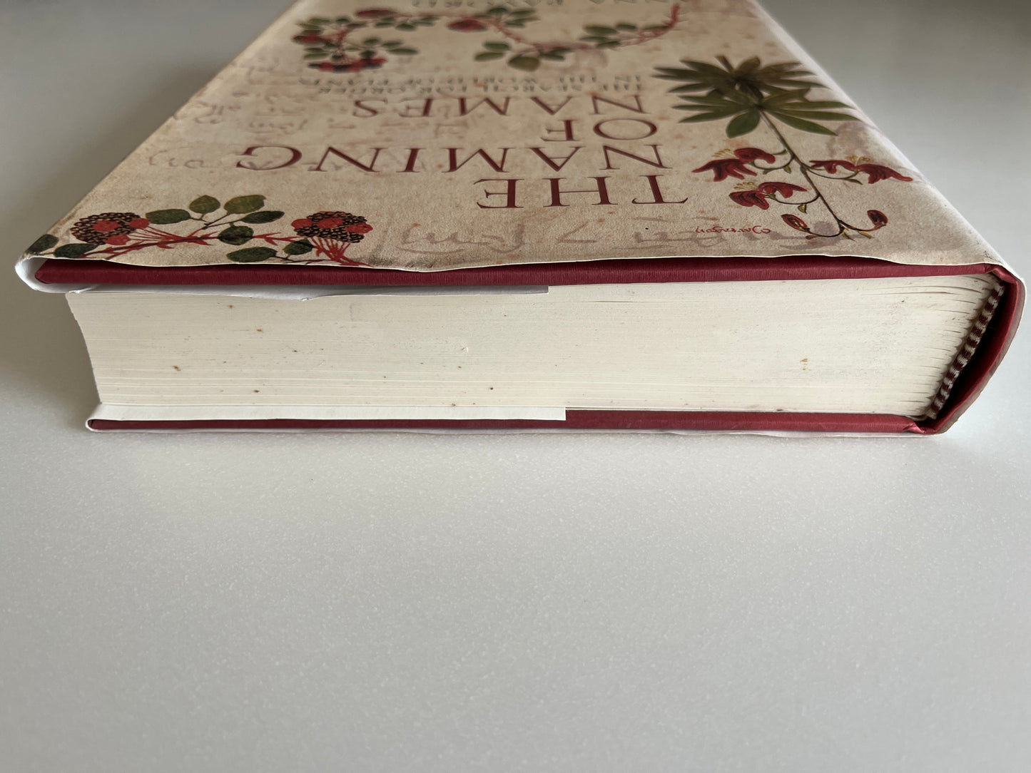 The Naming of Names: The Search for Order in the World of Plants by Anna Pavord (HC)