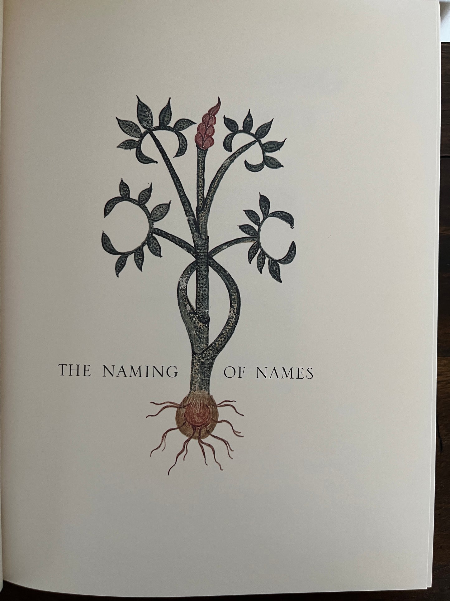 The Naming of Names: The Search for Order in the World of Plants by Anna Pavord (HC)