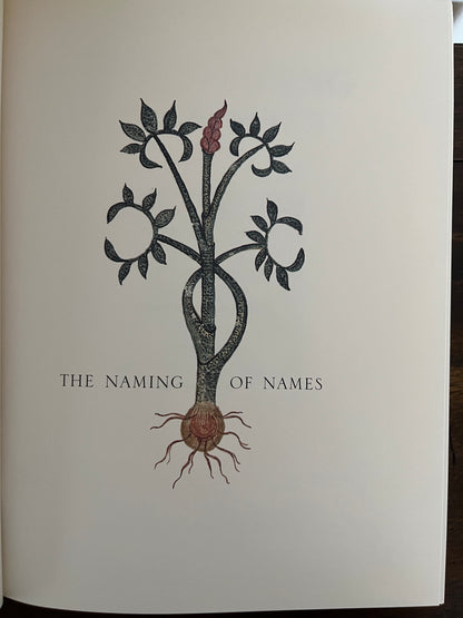 The Naming of Names: The Search for Order in the World of Plants by Anna Pavord (HC)