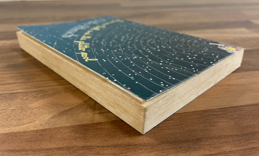 Darius Bell and the Glitter Pool by Odo Hirsch