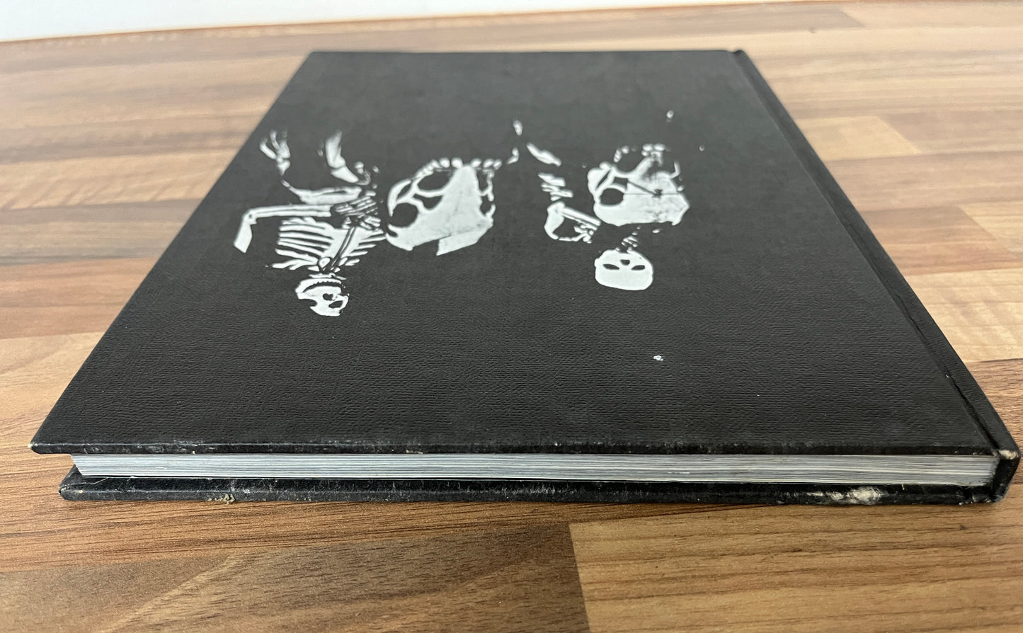 The Movie Treasury "Horror Movies" Tales of Terror in the Cinema By Alan Frank HC/DJ