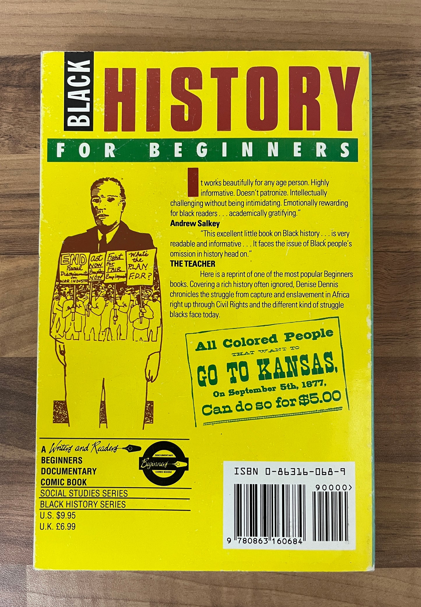 Black History for Beginners (No. 24), First edition by Denise Dennis, Illustrations Susan Willmarth