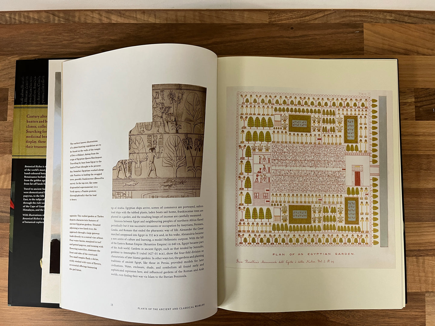 Botanical Riches: Stories Of Botanical Exploration by Richard Aitken HC/DJ