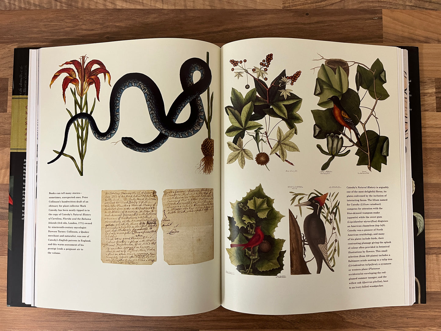 Botanical Riches: Stories Of Botanical Exploration by Richard Aitken HC/DJ