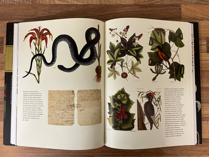Botanical Riches: Stories Of Botanical Exploration by Richard Aitken HC/DJ