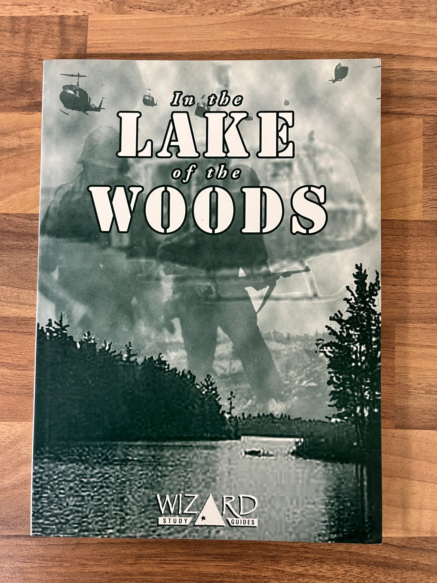 Wizard Study Guides: Tim O'Brien's In the Lake of the Woods by Richard McRoberts