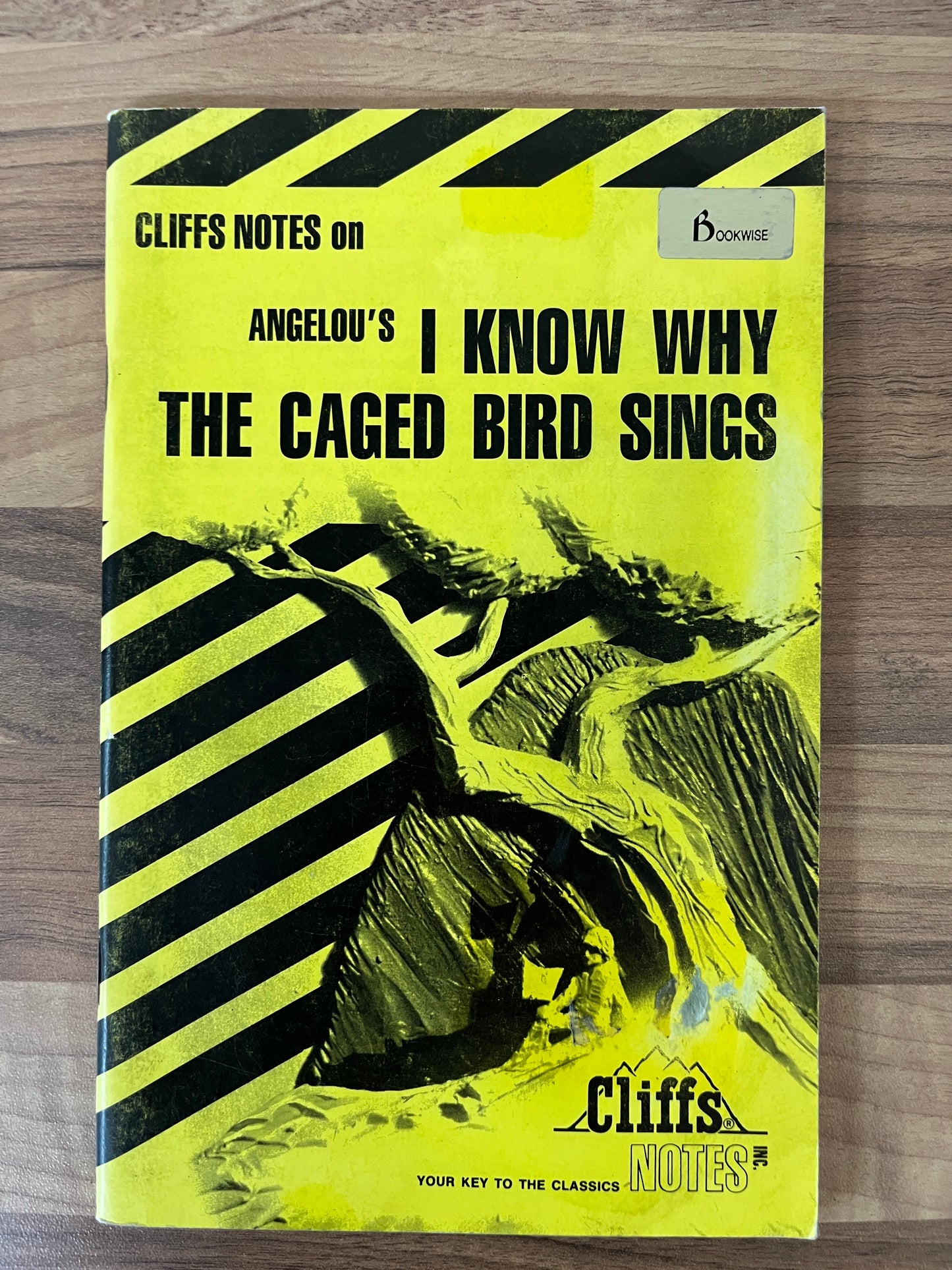 Cliffs Notes on  (Maya) Angelou's I Know Why the Caged Bird Sings