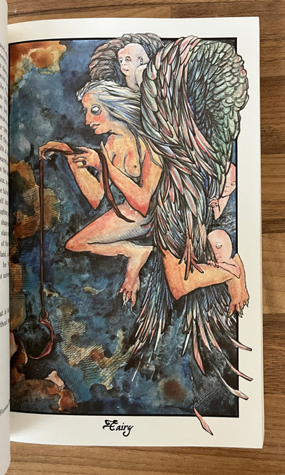 The Devil's Dictionary by Ambrose Bierce, Illustrated by Ferebe Streett 1st PB 1978