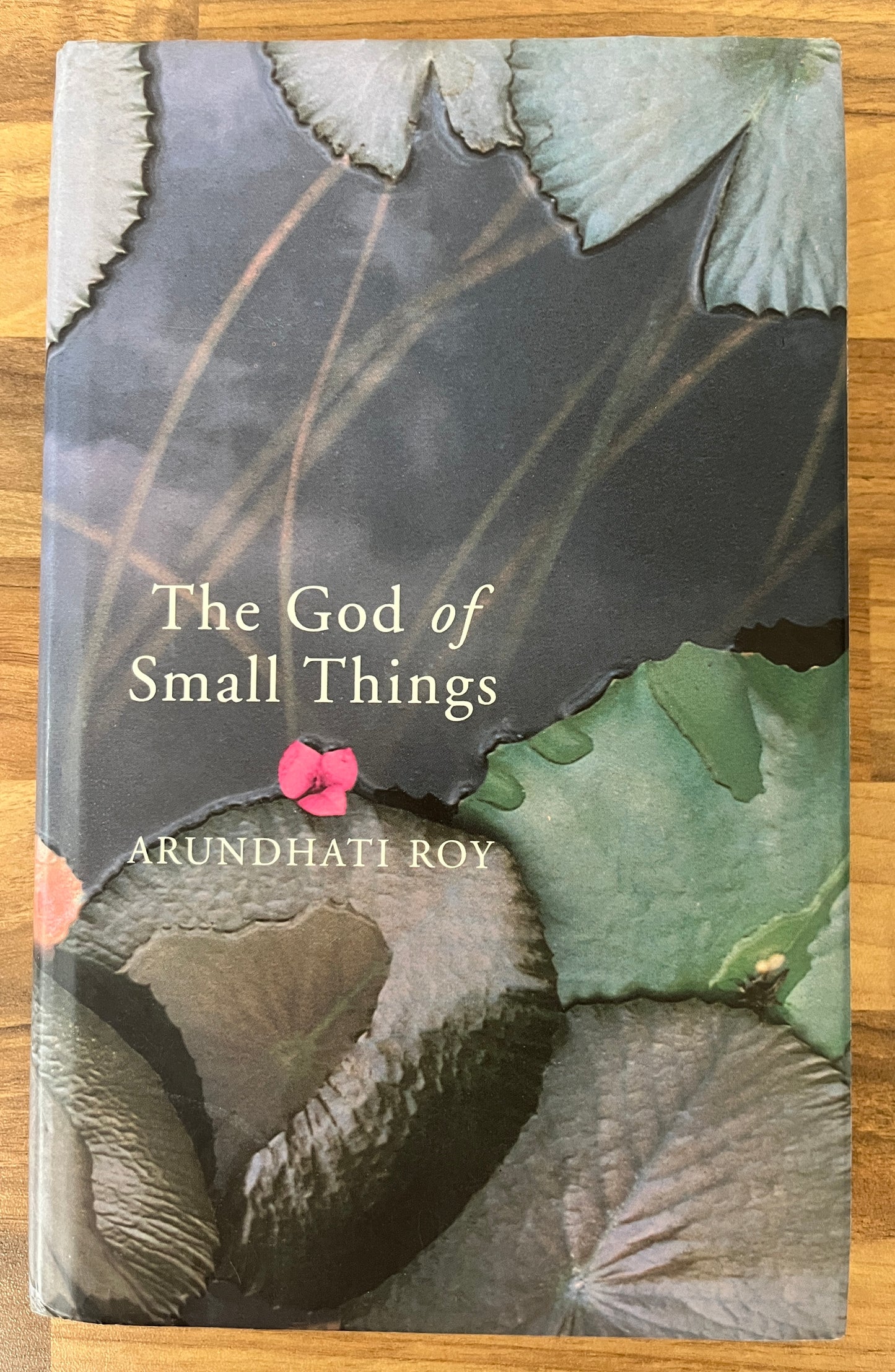 The God of Small Things by Arundhati Roy (Hardcover/Dust Jacket, 1st Edition/1st Print)