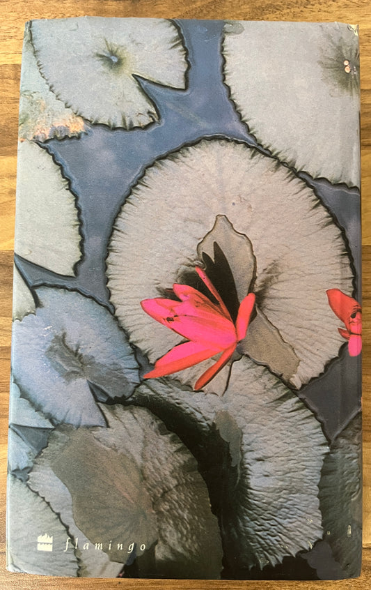 The God of Small Things by Arundhati Roy (Hardcover/Dust Jacket, 1st Edition/1st Print)