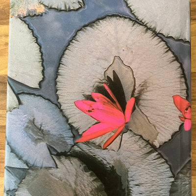 The God of Small Things by Arundhati Roy (Hardcover/Dust Jacket, 1st Edition/1st Print)