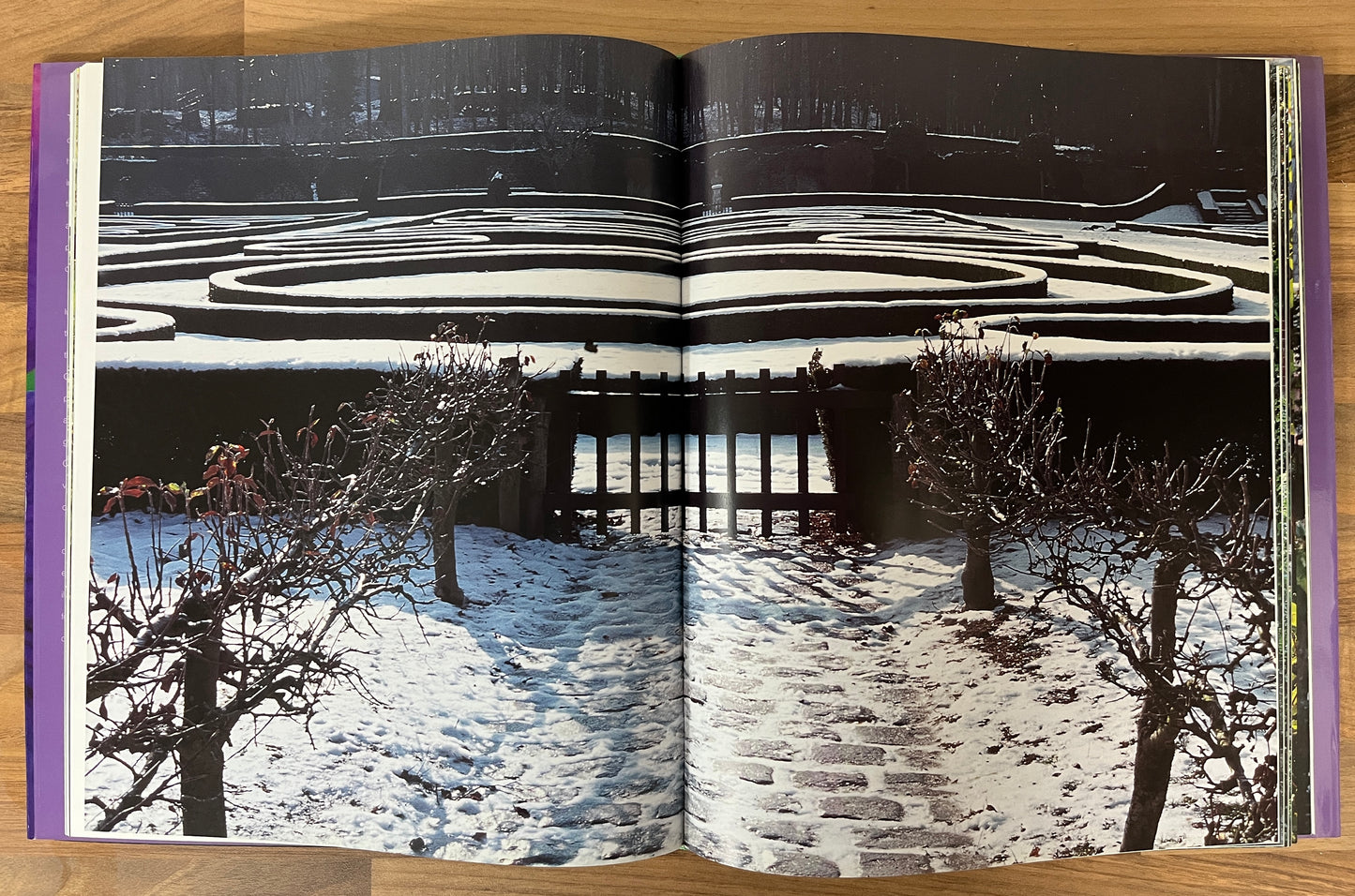 Fashion Designer's Garden by Francis Dorleans (Hardcover/Dust Jacket)