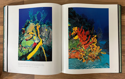 Oceanic Wilderness by Roger Steene (Inscription from Author on title page) HC/DJ