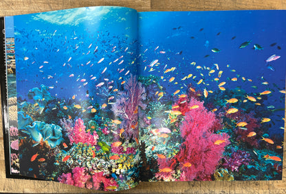 Oceanic Wilderness by Roger Steene (Inscription from Author on title page) HC/DJ