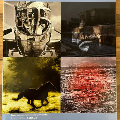 Success in After the Bomb: Study Notes for Sylvia Plath's Ariel, Waiting for Godot